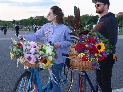Blumen Weyer Blumen & Pflanzen Lieferservice in Berlin und Brandenburg