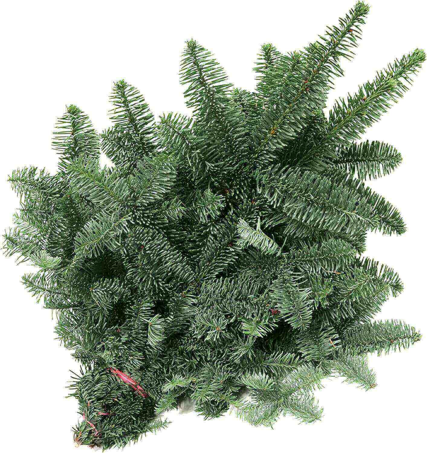 tannen-nordmann Tannenzweigbündel Nordmann auf weißem Hintergrund