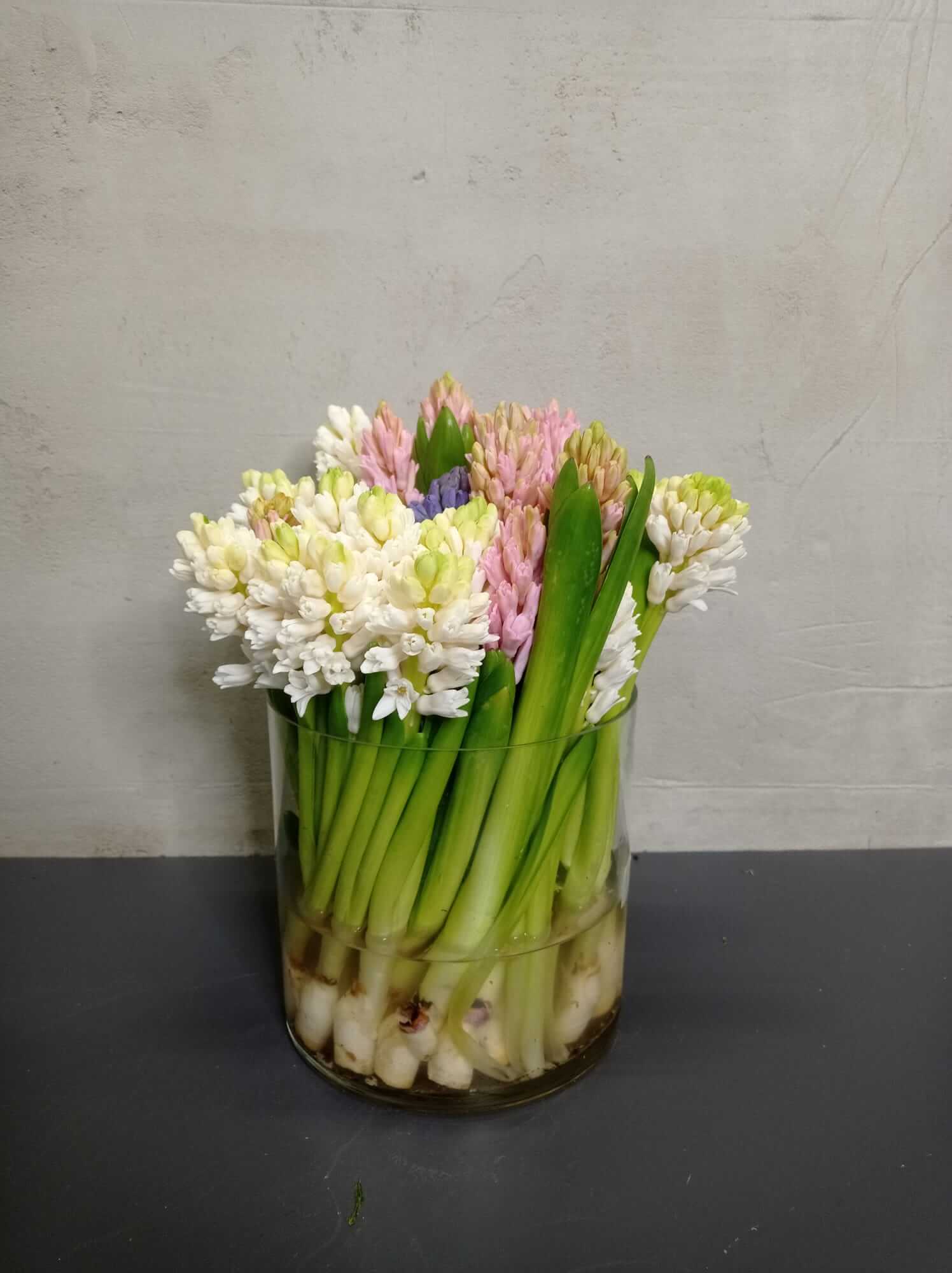 hyazinthen-schnittbluemen Hyazinthenstrauß in verschiedene Farben